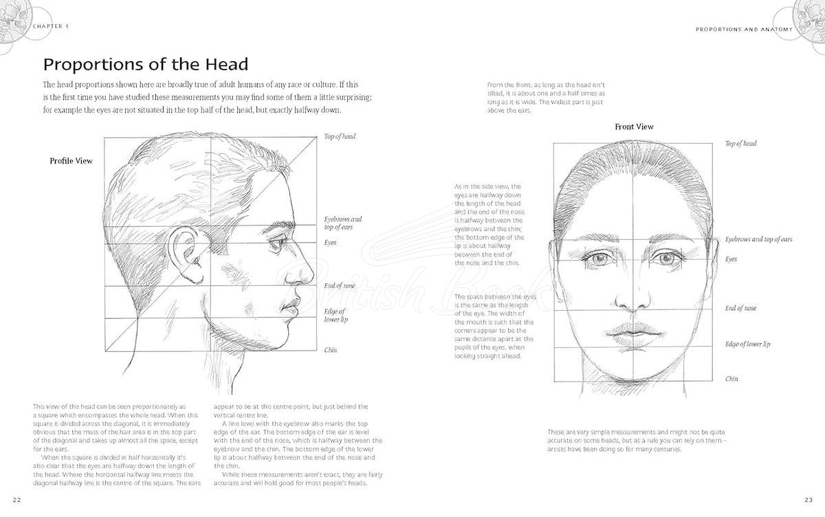 Книга The Fundamentals of Drawing Nudes зображення 2