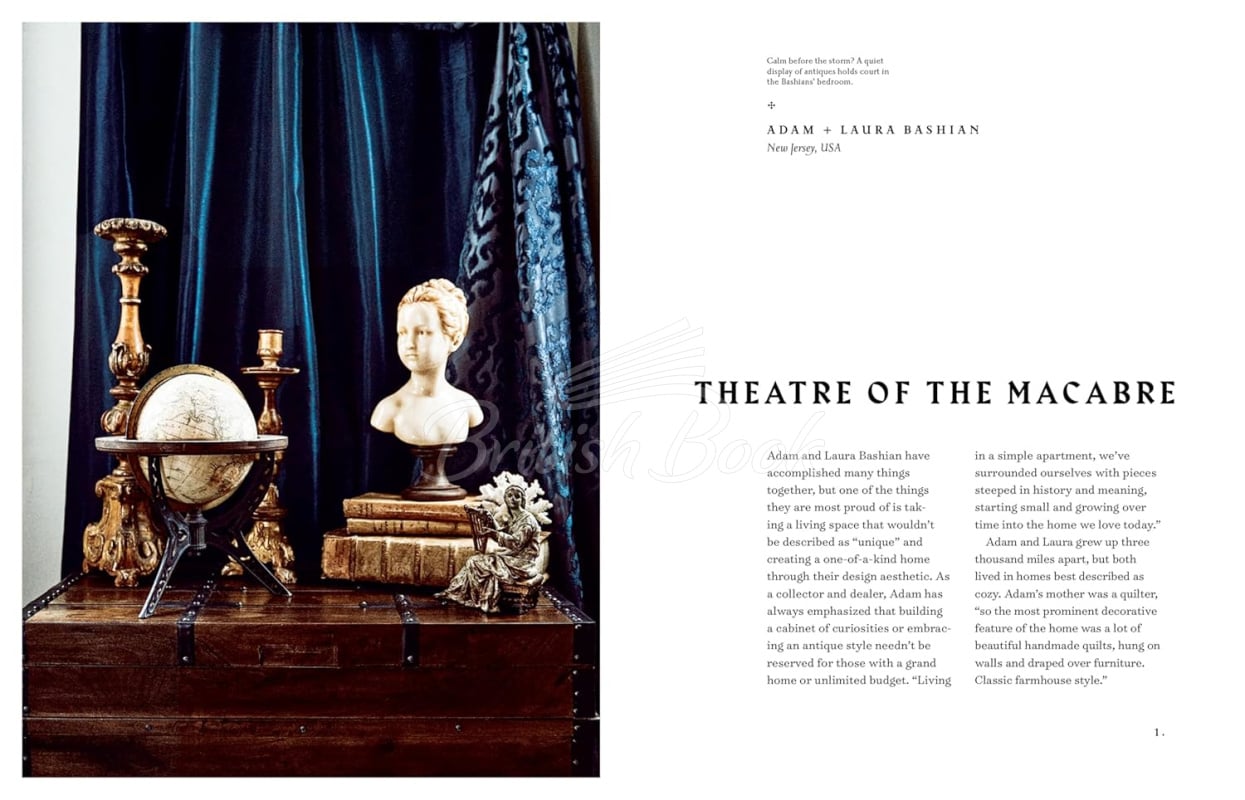 Книга The Art of Gothic Living: Dark Decor for the Modern Macabre зображення 2