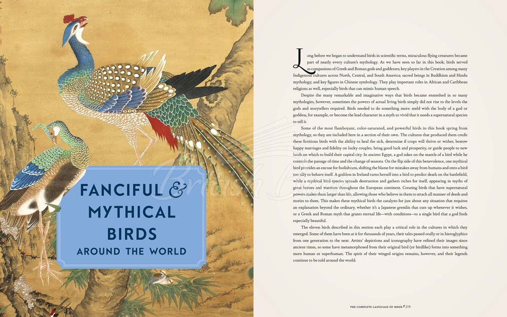 Книга The Complete Language of Birds изображение 13