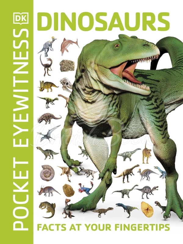 Книга Dinosaurs зображення