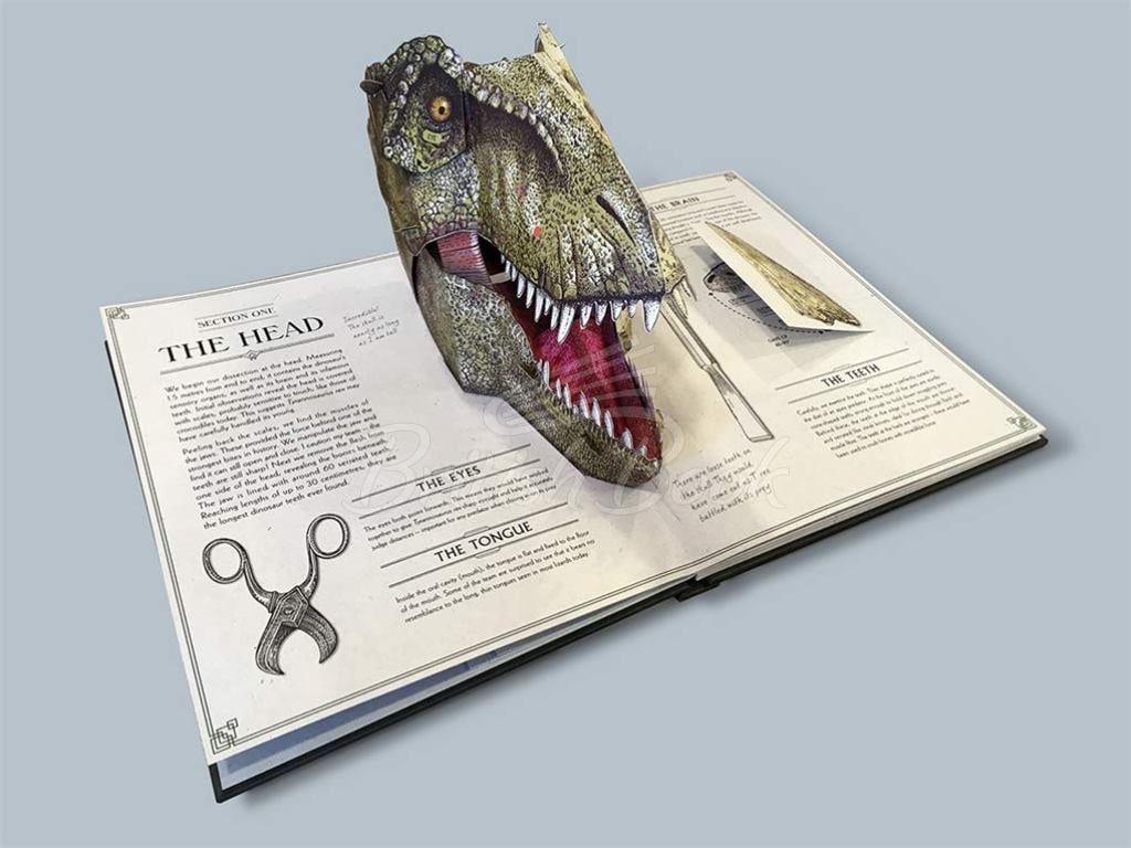 Книга Tyrannosaurus Rex: A Pop-Up Guide to Anatomy изображение 4