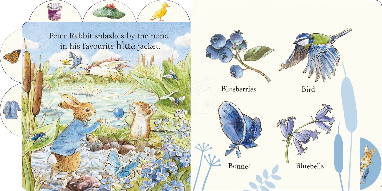 Книга Peter Rabbit: First Colours изображение 1