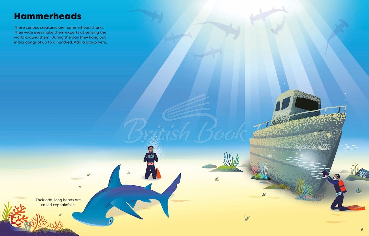Книга Big Sticker Book of Sharks зображення 3