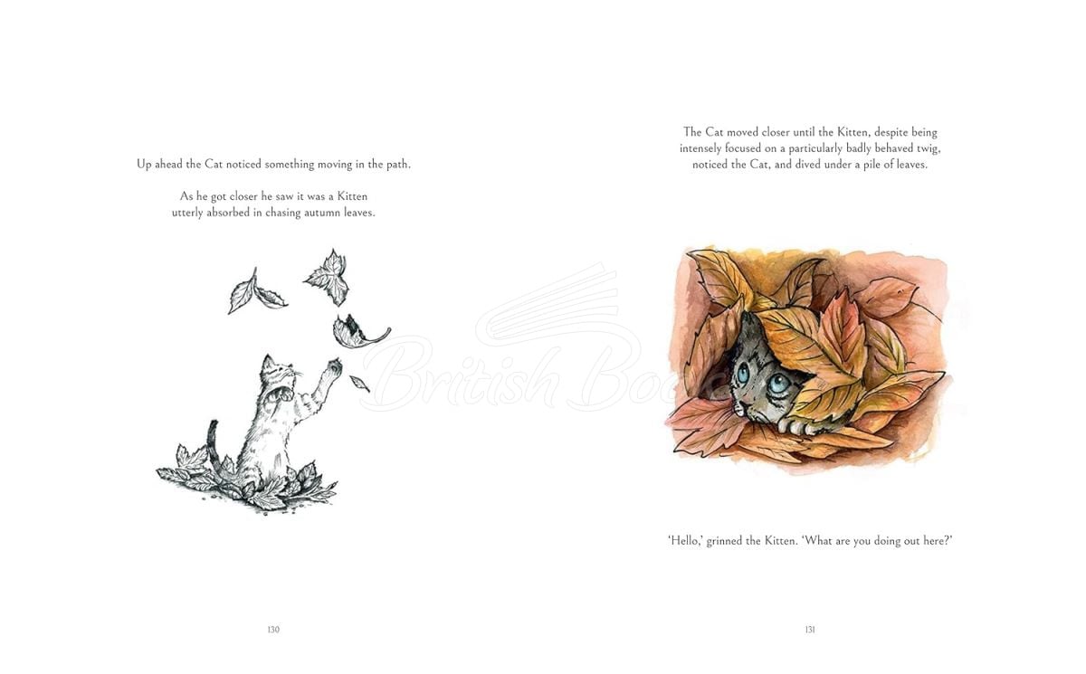 Книга The Cat Who Taught Zen - купити за 810,00 грн., ISBN