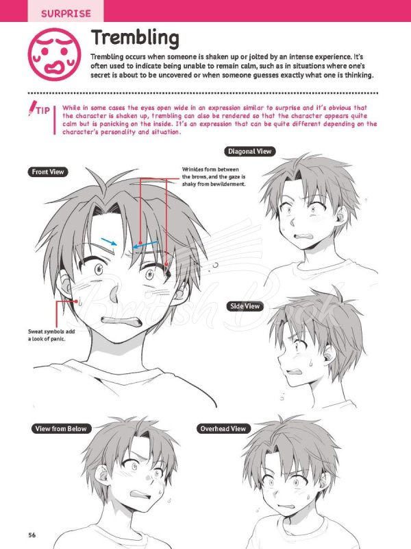 Книга How to Create Manga: Drawing Facial Expressions изображение 10