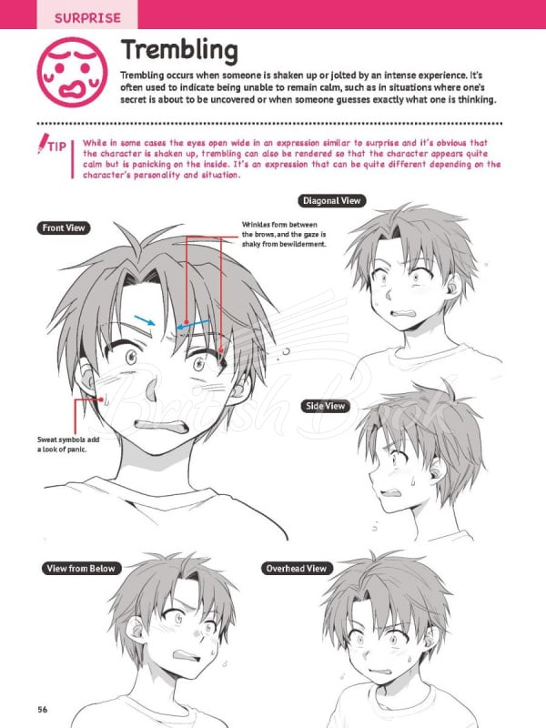 Книга How to Create Manga: Drawing Facial Expressions зображення 10