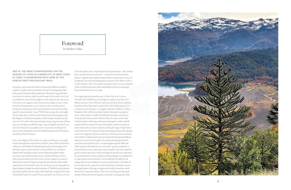 Книга The Tree Atlas зображення 2