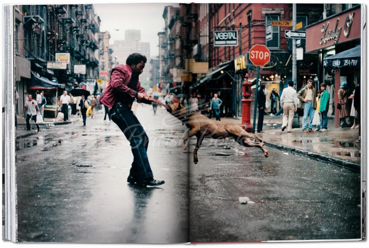Книга New York. Portrait of a City зображення 8
