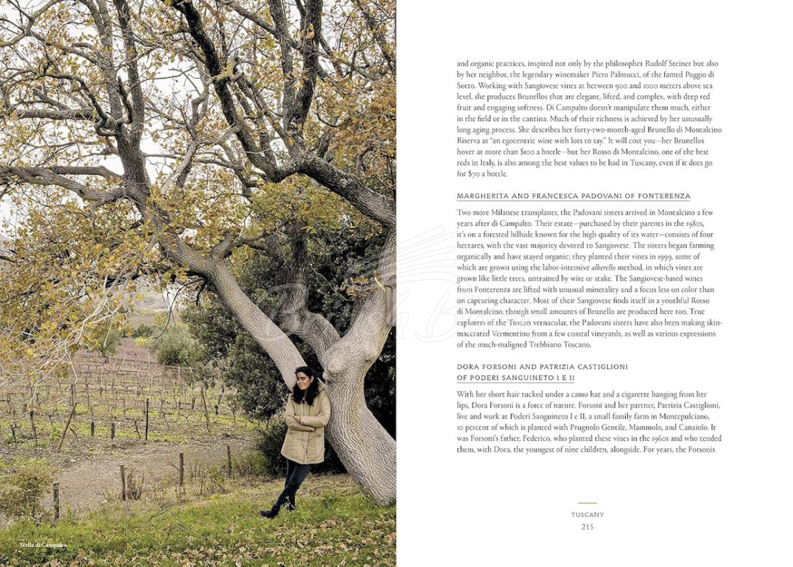 Книга Vino: The Essential Guide to Real Italian Wine изображение 6