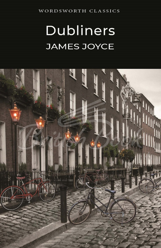 Книга Dubliners зображення