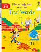 Usborne Early Years Wipe-Clean: First Words
