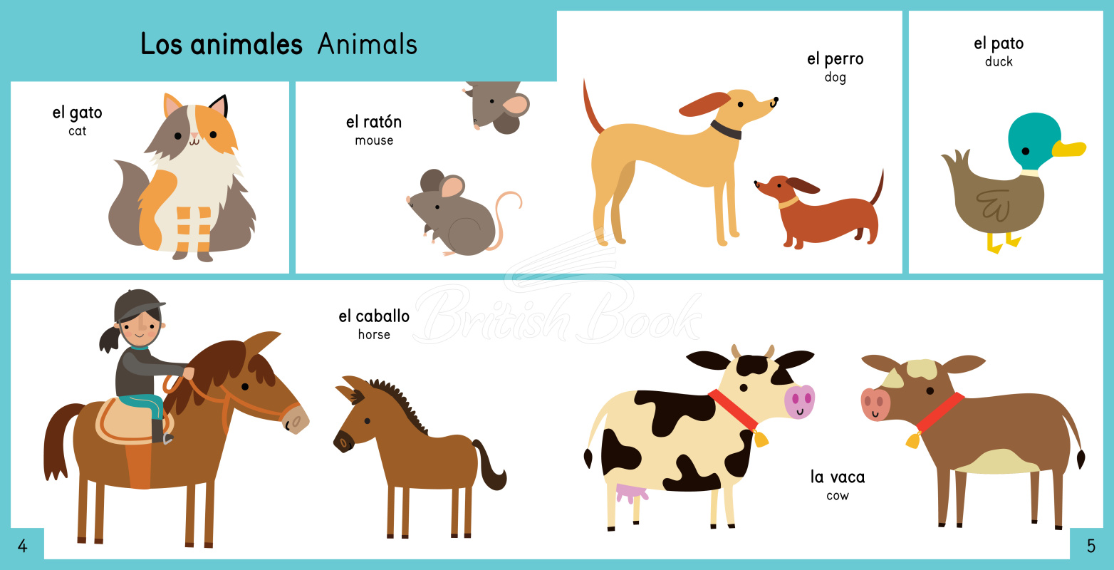 Книга My First Spanish Picture Word Book изображение 2