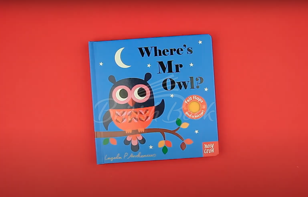 Книга Where's Mr Owl? зображення 2