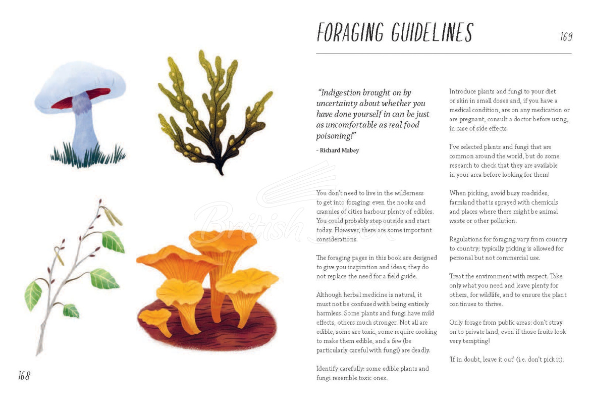 Книга Rewild Your Life: 52 Ways To Reconnect To Nature изображение 12