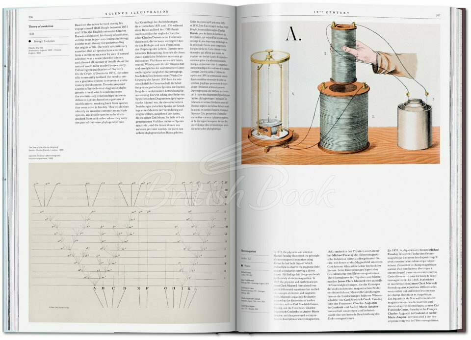 Книга Science Illustration. A History of Visual Knowledge from the 15th Century to Today зображення 6