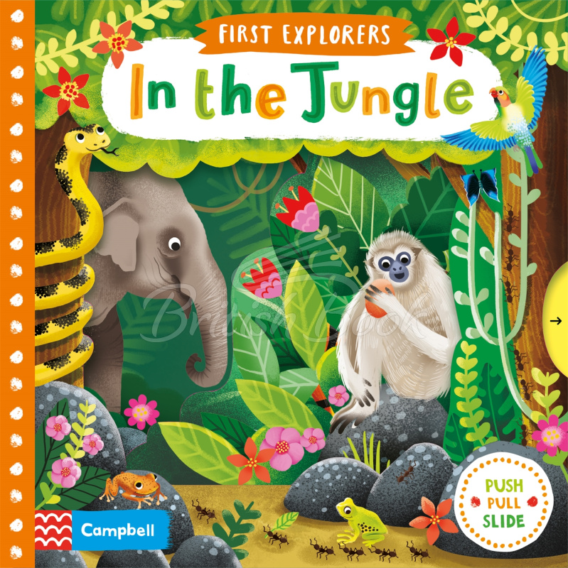 Книга First Explorers: In the Jungle зображення