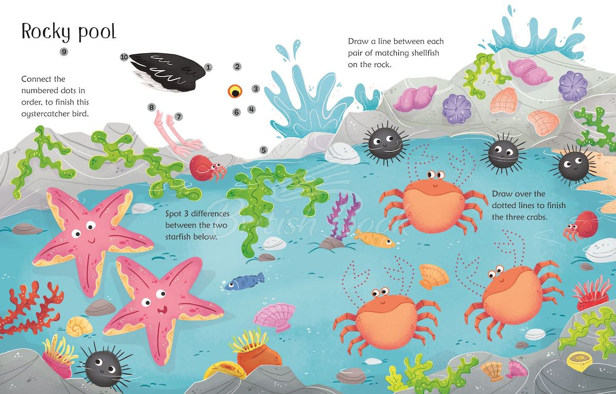 Книга Wipe-Clean Seashore Activities изображение 1