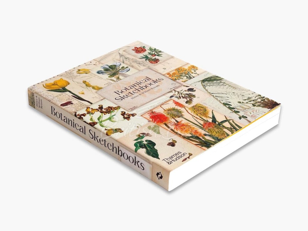 Книга Botanical Sketchbooks изображение 14