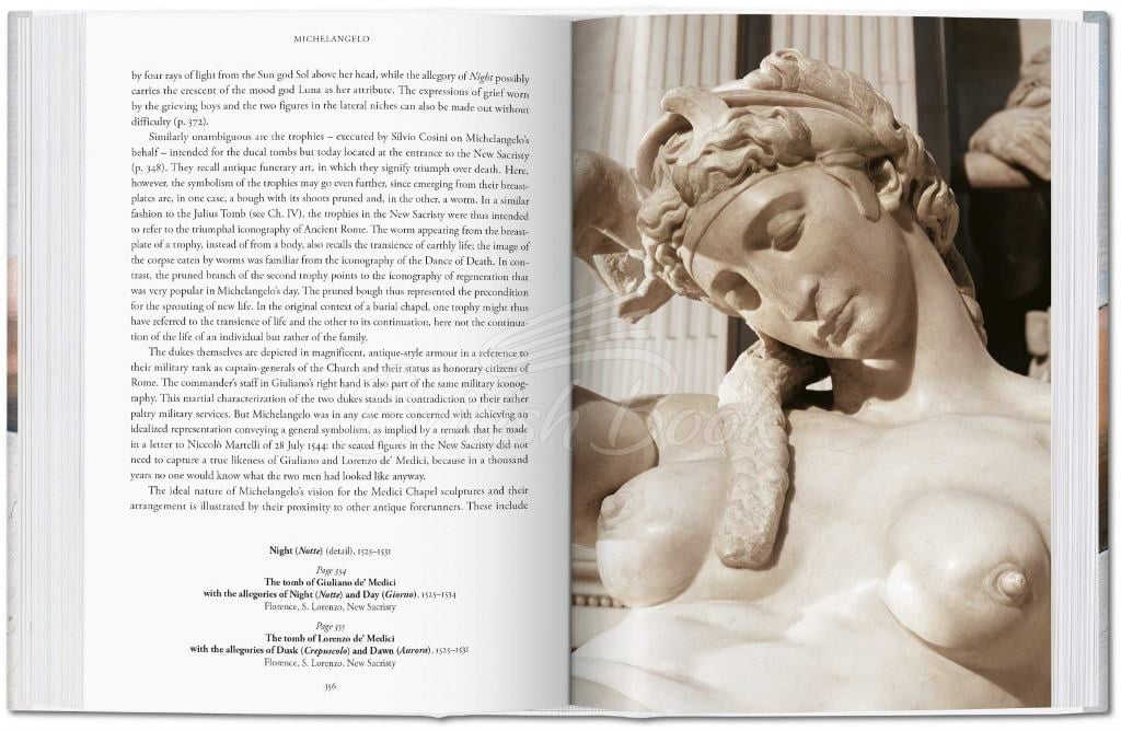 Книга Michelangelo. The Complete Paintings, Sculptures and Architecture зображення 1