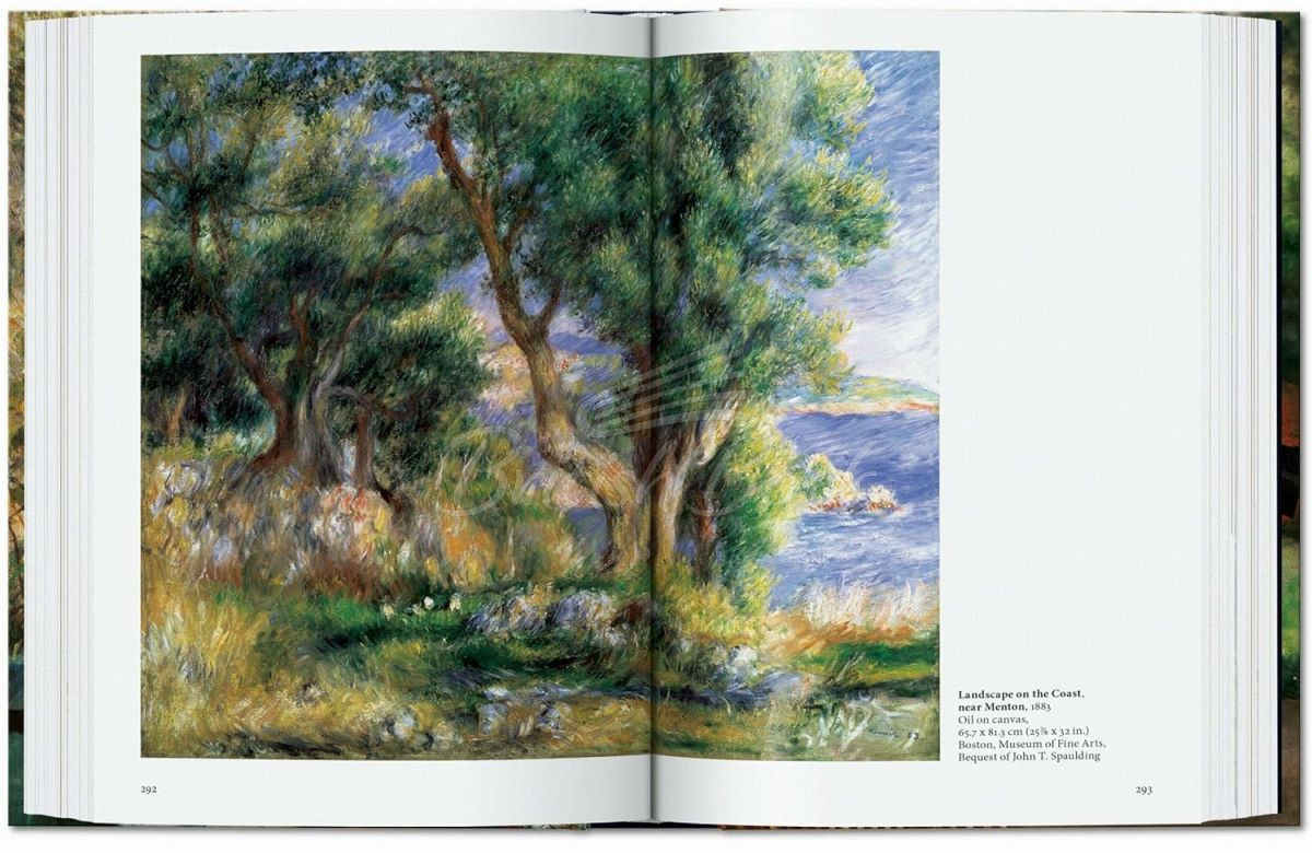 Книга Renoir зображення 8
