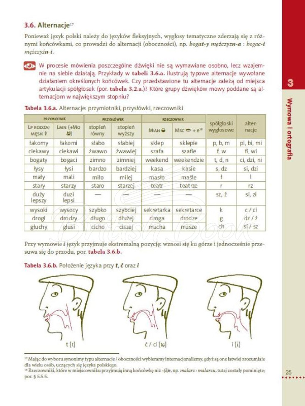 Книга Hurra!!! Odkrywamy język polski Gramatyka dla uczących (się) języka polskiego jako obcego изображение 2