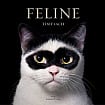 Feline: Photographs