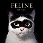 Feline: Photographs