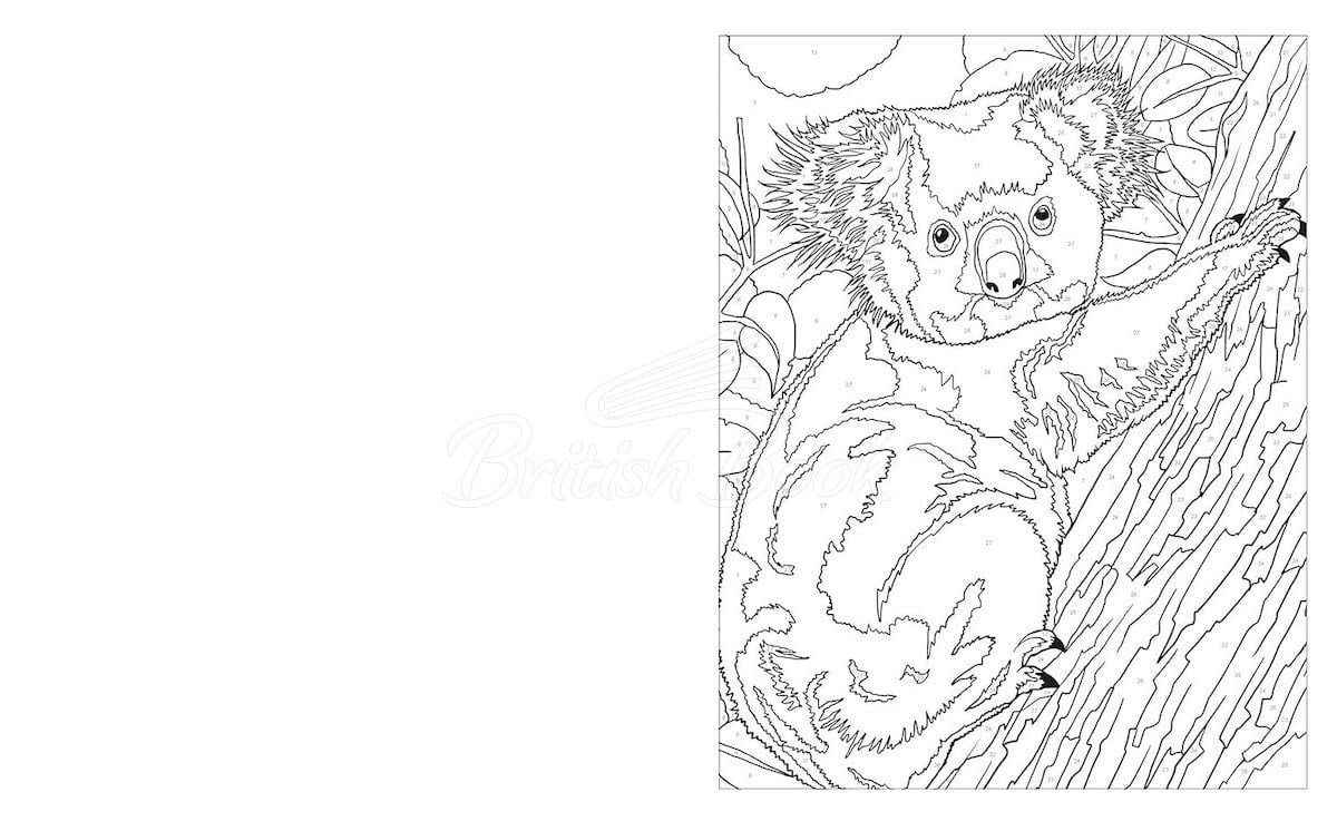 Книга Animal Kingdom Colour by Numbers изображение 3