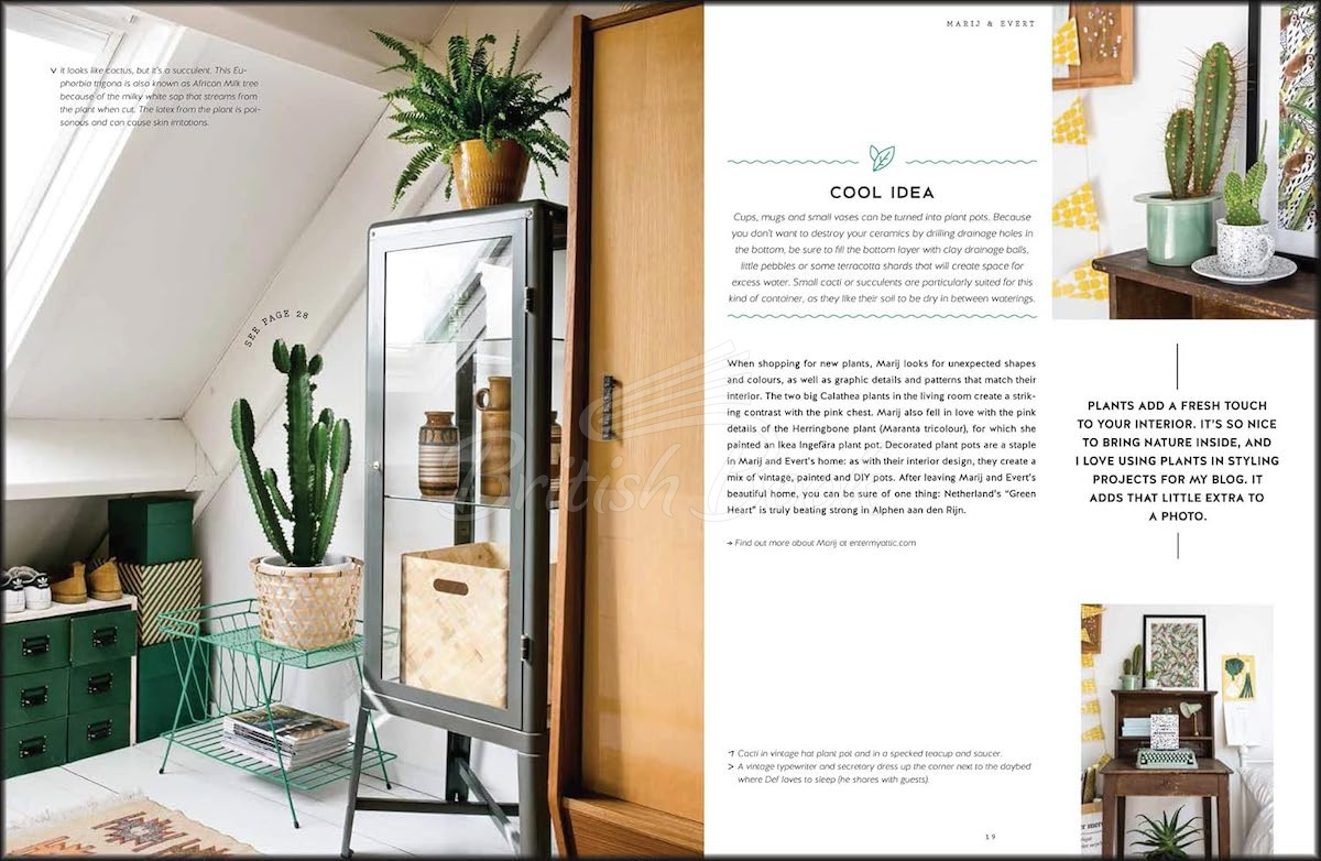 Книга Urban Jungle: Living and Styling with Plants зображення 2