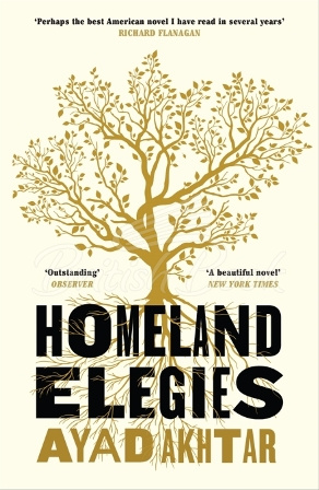 Книга Homeland Elegies зображення