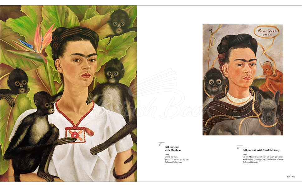 Книга Frida Kahlo: The Masterworks зображення 1