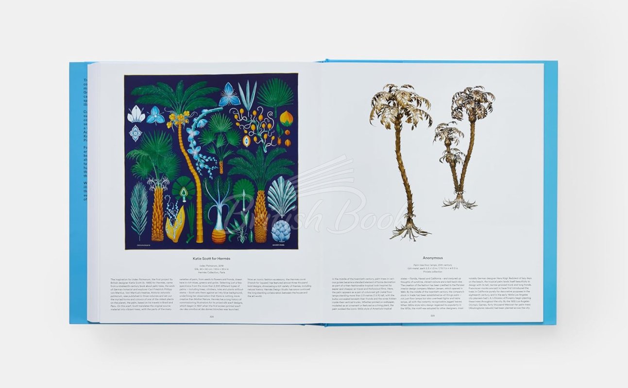 Книга Tree: Exploring the Arboreal World зображення 14