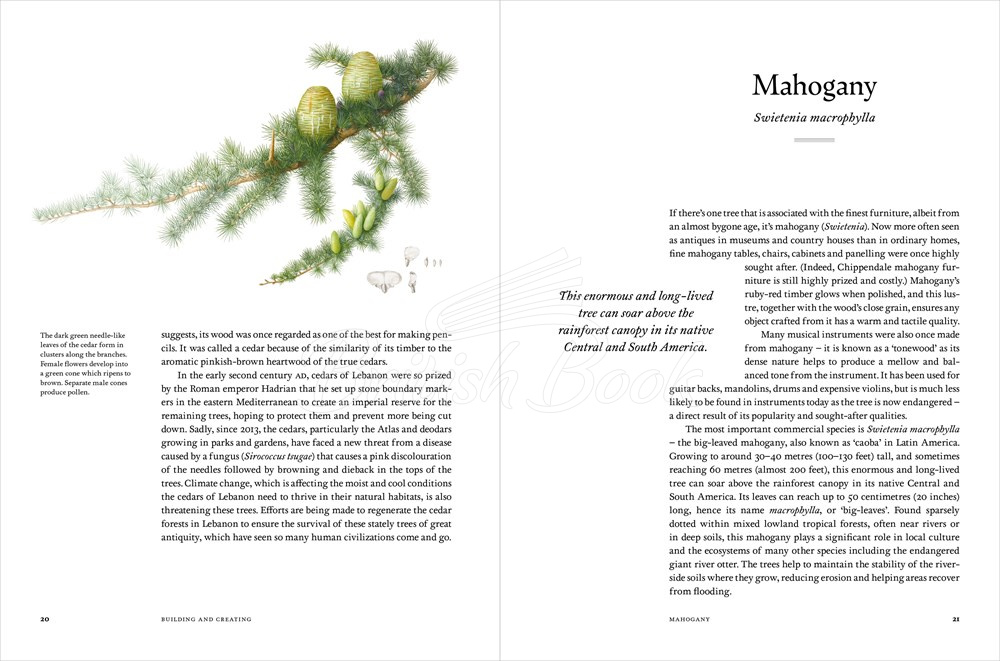 Книга Remarkable Trees изображение 6
