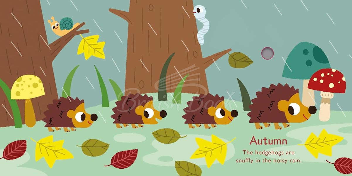 Книга Listen to the Seasons зображення 4