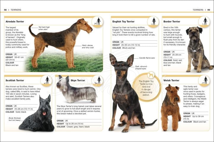 Книга Pocket Eyewitness: Dogs изображение 3