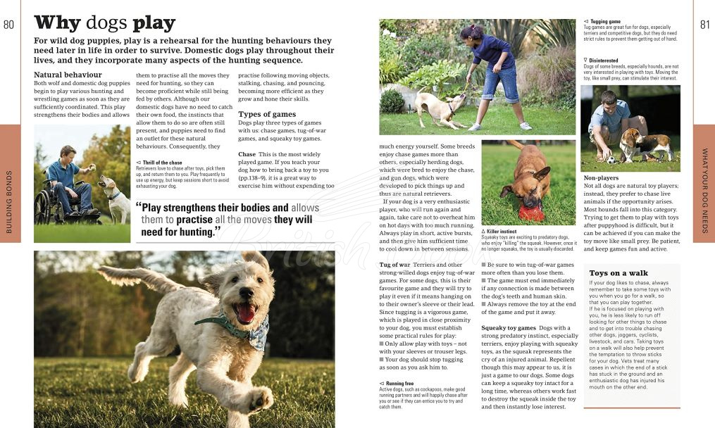 Книга The Beginner's Dog Training Guide зображення 3