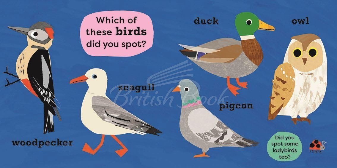 Книга National Trust: My Very First Spotter's Guide: I Spot a Duck зображення 6