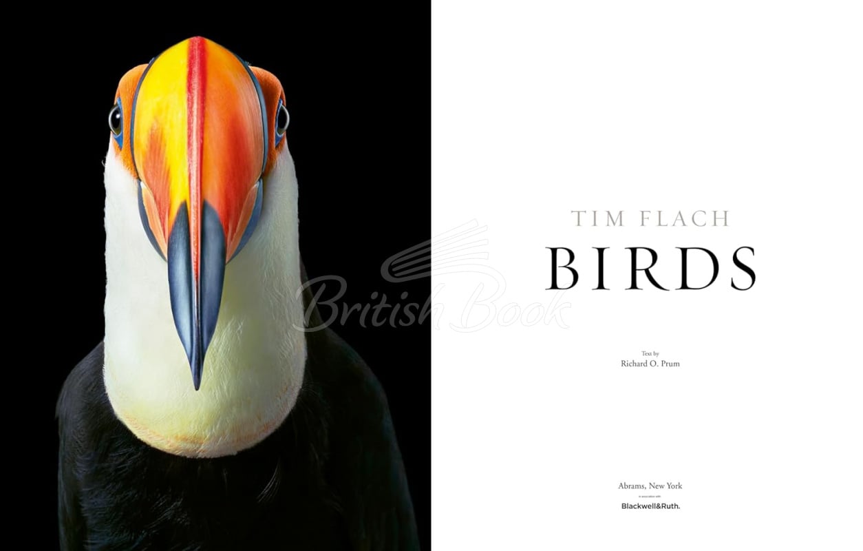 Книга Birds: Photographs изображение 2