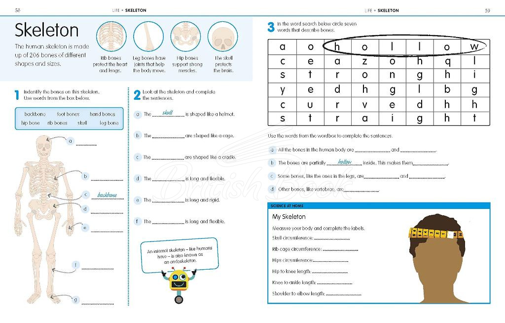 Книга How to be Good at Science, Technology and Engineering Workbook 1 (Key Stage 2, Ages 7-11) изображение 2