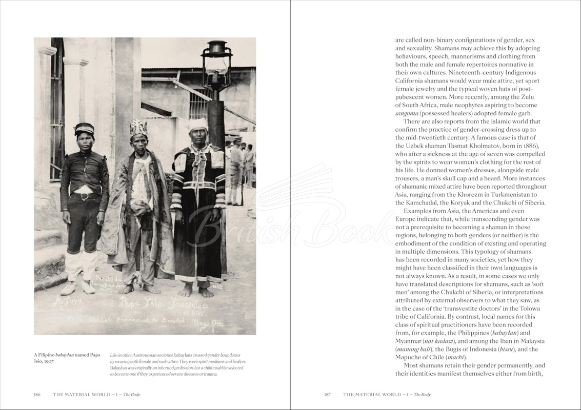 Книга Shamans: The Visual Culture of Animism, Healing and Journeys to Other Planes изображение 11