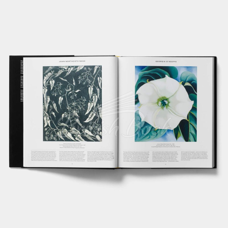 Книга Plant: Exploring the Botanical World изображение 3