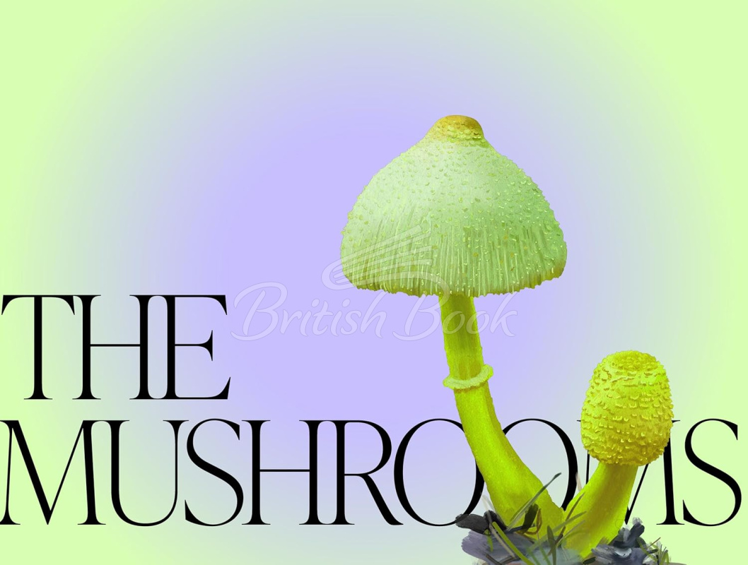 Книга Mushroom Magic зображення 2