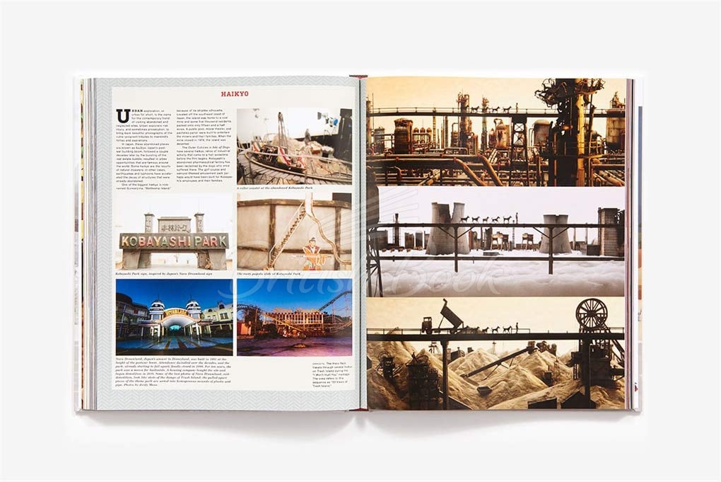 Книга The Wes Anderson Collection: Isle of Dogs зображення 3