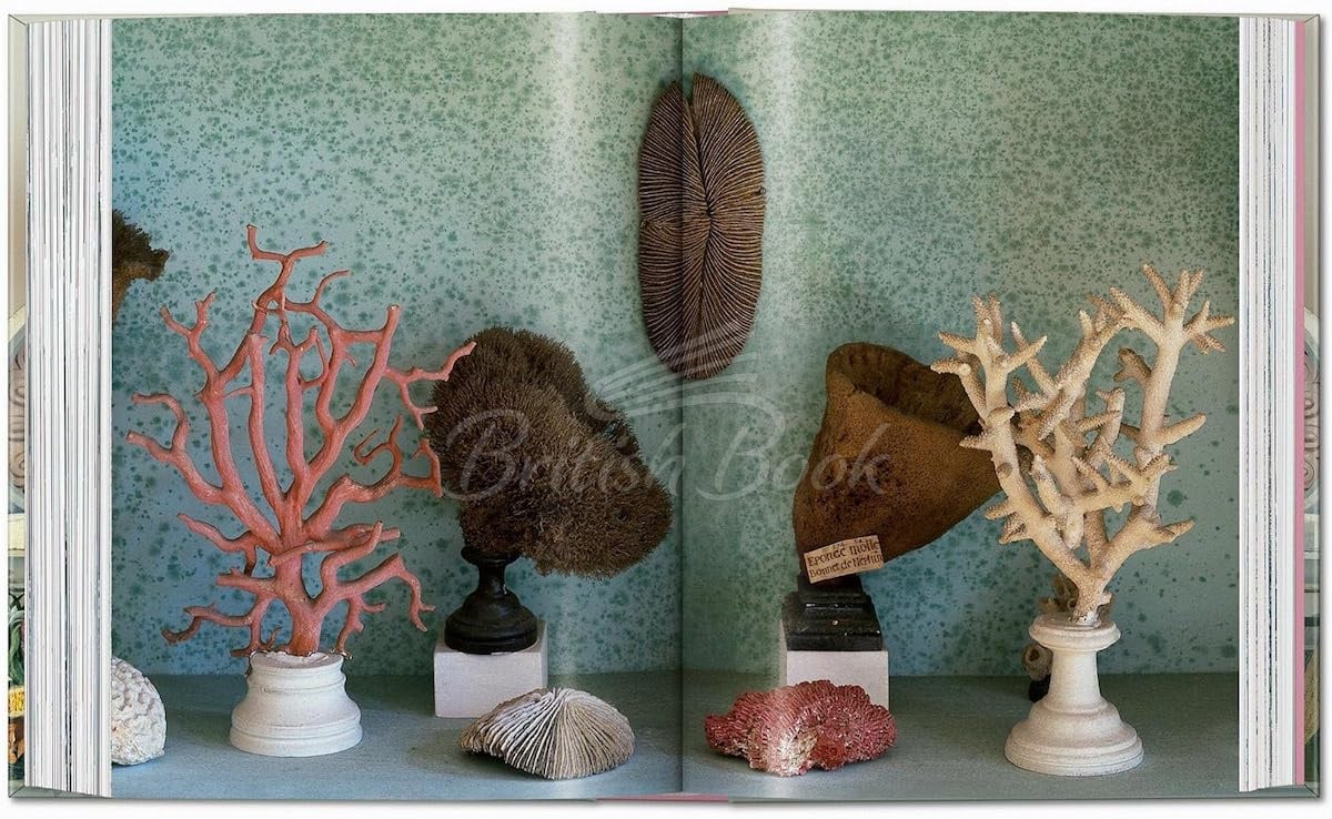 Книга Massimo Listri. Cabinet of Curiosities изображение 5