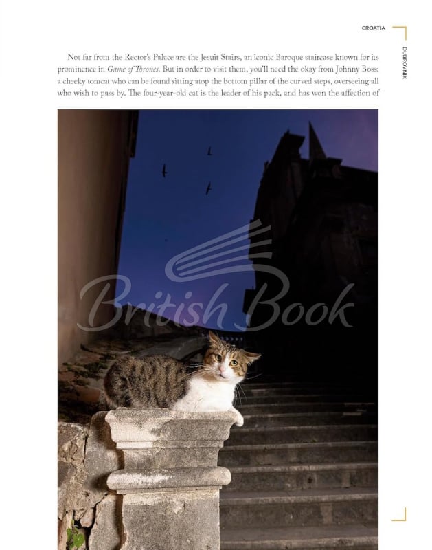 Книга Cats of the World изображение 6