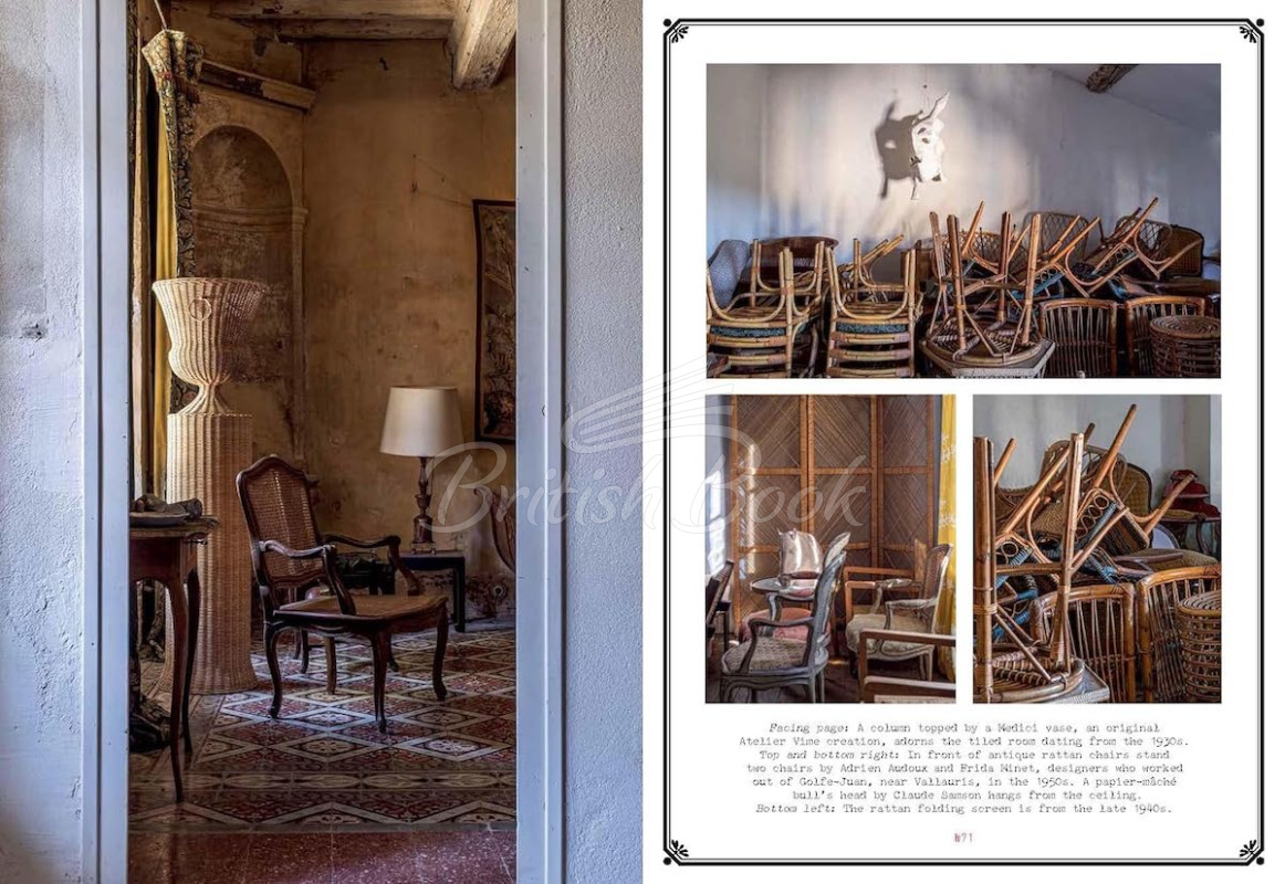 Книга Extraordinary Collections: French Interiors, Flea Markets, Ateliers зображення 6