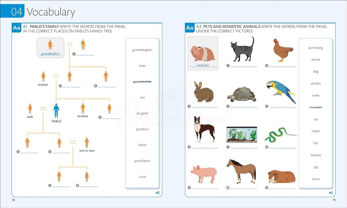 Рабочая тетрадь English for Everyone 1 Practice Book изображение 2