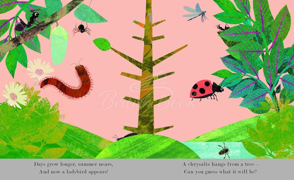 Книга A Peek-Through Introduction to Nature: Bugs изображение 4