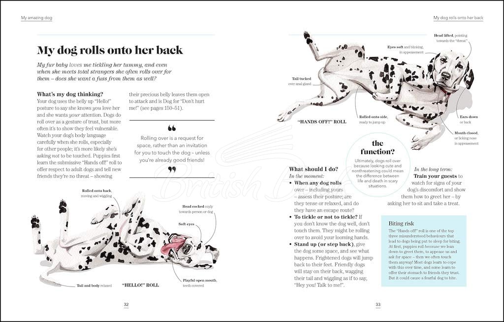 Книга What's My Dog Thinking? изображение 2