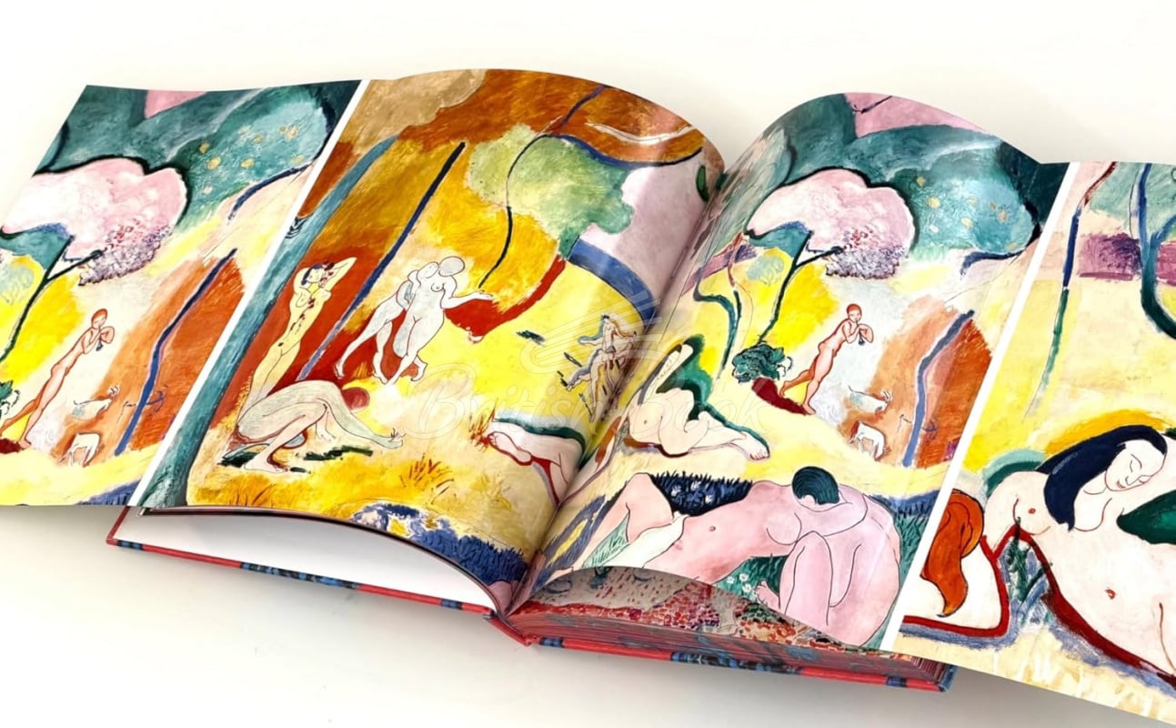 Книга Matisse зображення 8